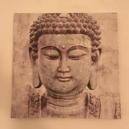 בית הארחה Blackboard House