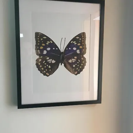 Blackboard House Pensionat Bari